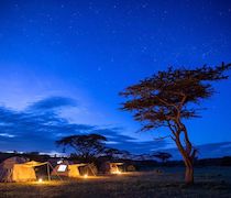 Named after the Dorobo people of this area, Basecamp Dorobo Mobile Camp is entirely mobile. The camp is owned and managed by Basecamp, a luxury eco-friendly camp near Talek Gate. Basecamp Foundation supports and cooperates with local communities, as well as developing and promoting Basecamp