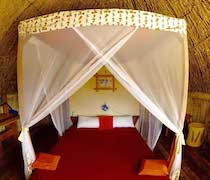 On the western shores of the stunning Lake Turkana, Eliye Springs is a traditionally designed eco-lodge.

The 4 Acco bomas are traditional thatched en-suite huts dotted along the beach, with verandas facing the lake. The 4 en-suite family rooms have stone walls, thatched roofs, and each has 2