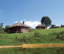 Castle Forest Lodge nestles in a rain and bamboo forest, listed a UNESCO World Heritage Site for its large variety of endemic species such as the lobelias, the senecios and the rock hyrax. On the slopes of Mt Kenya, the lodge is committed to maintaining