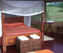 Elangata Olerai Luxury Camp was established in 2011. The camp is an intimate tented camp just outside the Maasai Mara National Reserve.

There are 10 en-suite tents. All tents are designed with African wood in Swahili style. A paved walkway links the tents, 5 of which have 2 double