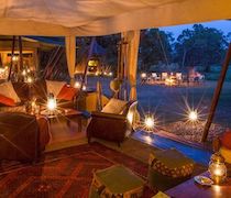 Named after the Warburgia Ugandensis, commonly known as the Elephant Pepper Tree, this elegant bush camp maintains the atmosphere of the traditional mobile luxury safari. Nestled in a grove of Ebony and Elephant Pepper trees, the camp is situated in Mara North Conservancy. It looks