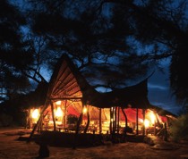 Perched on the banks of the Ewaso Nyiro River, Elephant Watch Camp is home to some of the largest bulls in Samburu who can often be spotted mudding in the river, resting under an acacia tree or picking pods beside the tents. The camp is