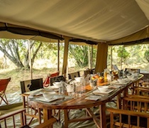 Established by two of Kenya’s most famous safari guides, Enaidura Camp is known for unparalleled guiding and exceptional game viewing. Paul Kirui and Johnson Ping’ua Nkukuu, who own the camp, were both named in Conde Nast’s 25 Best Safari Guides of guides from