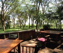 One of the original camps on Lake Naivasha, Fisherman’s Camp is popular with locals and visitors alike. The circular bar and restaurant overlook large gardens sloping down to the lake’s edge. The camp offers self-catering accommodation, a lively restaurant and bar and a
