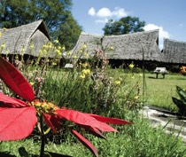 Flamingo Hill Camp is situated just outside Lake Nakuru National Park, 2km from the main gate. This friendly camp is set in landscaped gardens, surrounded by lush natural foliage.

 There are 25 en-suite tents shaded by thatched roofs, which can be doubles, twins or triples as