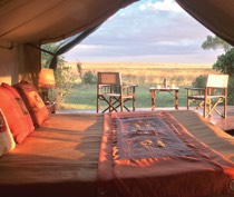 On the banks of the Mara River in the northwest of the Maasai Mara National Reserve, Governors’ Camp looks straight across the plains. This location, where lush riverine forest meets the open plains, attracts a wide variety of game. Created in 1972, the camp has become