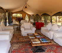On a curve of the Mara River, Hammerkop Migration Camp looks out over the famous river and the animals and birds that come to it to drink. As the name suggests, the camp is perfectly positioned to view the annual great migration during the months