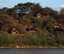 Island Camp was established in 1975, making it one of the original tented camps in Kenya. The camp, on Ol Kokwe Island in Lake Baringo, offers both relaxation and activities; the area is particularly known for its prolific birdlife. The island is owned by the Njemps