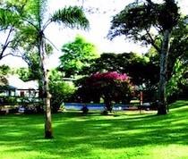 On the original estate of the Swedo African Coffee Company, the Karen Blixen Coffee Garden is a lush, manicured garden with a history stretching back to the early days of last century. The Swedo House, built in about 1908, was the farm manager’s house for