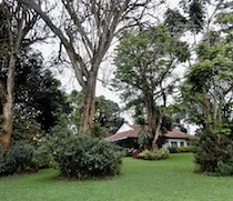 Kawamwaki, meaning the hill that has fire, is a sacred space for the Kikuyu who have for generations walked long distances to come here for wood. This lush tea plantation in Tigoni, just outside Nairobi, has a charming farmhouse set in spacious grounds offering horse