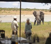 Nestled in indigenous forest overlooking a waterhole, Kicheche Laikipia Camp is in the centre of Ol Pejeta Conservancy. The camp is small and intimate, and offers quality game viewing and an authentic experience. There are 6 en-suite tents, made up of twins and doubles and 1 triple.
