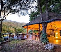 The Matthew’s Mountain Range, a chain of peaks covered in dense dewy forest rising out of the desert, provides a striking setting for Kitich Camp. The camp overlooks a river glade within the lush indigenous forest that is home to elephant, leopard, bushbuck, rhino,