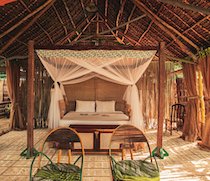Set on a secluded 12km beach in the south of Lamu Island, Kizingo styles itself a no shoes, no news resort. Committed to the conservation of the environment, Kizingo has been constructed from local materials.

There are 8 well spaced en-suite bandas. Each banda has a