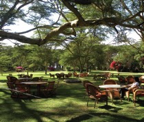 Lake Naivasha Country Club became famous in the 1930s, when it was a staging post for the Imperial Airways’ flying boat service from Durban to London. The club is situated on the shores of Lake Naivasha, in 12 hectares of lawns.

 There are 39 standard rooms, 3 family
