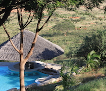 Situated on Mlima wa Simba, Swahili for Lion Hill, this lodge makes a lovely place to relax and enjoy the views. The lodge is not far from Voi Gate of Tsavo East National Park and easily accessible from the Nairobi Mombasa Highway.

The 8 en-suite rooms