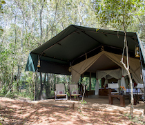 In a riverine forest on the banks of the seasonal Olare Orok River, Mara Bush Camp is tucked discreetly into the heart of the Maasai Mara National Reserve. This eco-friendly camp has no permanent structures, and remains small and simple for private, authentic safaris. It