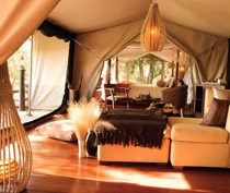 Overlooking the Talek River, and only a short drive from the Mara River, Mara Intrepids is in a prime game viewing area in the Maasai Mara National Reserve. The area was used in the 2004 BBC documentary Big Cat Diary. The 30 en-suite tents, on raised platforms,