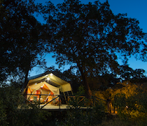 Matira Bush Camp is located in the heart of the Maasai Mara National Reserve, near the junction of the Mara and Talek Rivers. This friendly camp, in a copse on an attractive stream dotted with waterlilies, is an authentic bush camp. A blend of Maasai