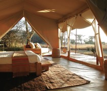 Tucked into a grove of riverine woodland on the banks of the Talek River, Naibor is a luxury tented camp in a contemporary style. The camp is strategically placed to view game all year round, and particularly during the wildebeest migration.

There are 7 en-suite tents,