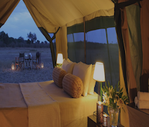 Near Samburu’s famed Ewaso Nyiro Rover, Naibor Samburu is a luxury mobile camp. The camp is seasonal and operates only during the seasons when the remote and stunning Samburu National Reserve is at its best. 

The 6 en-suite tents are decorated in traditional safari style