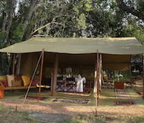 Naibor Wilderness is an exclusive bush camp near Naibor main camp. The camp offers privacy, lovely views and a safari camping experience. The camp is strategically placed to view game all year round, and particularly during the wildebeest migration.

The 3 double or twin tents have