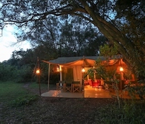 Established in November 2010, Nairobi Tented Camp is the first and only safari camp in Nairobi National Park. Deep in a riverine forest, in the speckled shade of an olive grove, this authentic tented camp offers a true wilderness experience on the doorstep of Nairobi.

There