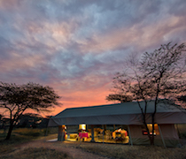 An authentic mobile camp, Porini Bush Camp is a seasonal camp that operates only during the months that the famous wildebeest migration passes through Kenya. The camp is located in Ol Kinyei Conservancy on the border of the Maasai Mara National Reserve, an award-winning conservancy