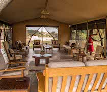 Porini Cheetah Camp is one of only two permanent camps in the exclusive wildlife conservancy of Ol Kinyei. This beautiful wilderness area, exclusive to Porini Camps, has savannah plains, riverine forest and fresh springs.

The 6 en-suite tents are near the Olare Lemunyi watercourse that attracts