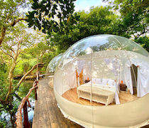 This eco-lodge, on a cliff overlooking Watamu’s national marine park, has views of both Mida Creek and the ocean. The bubble concept, the first of its kind in Kenya, gives guests the chance to see the striking views from their bed.

The 3 bubbles are