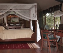 Situated on the banks of the Ewaso Nyiro River in the arid heart of Samburu National Reserve, Samburu Intrepids looks out over riverbanks on which guests have a chance of spotting the rare northern species of reticulated giraffe, Beisa oryx and gerenuk.

The 27 en-suite tents,