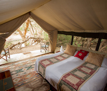 Near the striking Lake Magadi at the southern end of Kenya’s Great Rift Valley lies Shompole Wilderness. This attractive little camp is on the banks of the Ewaso Ngiro River in the shade of giant figs. Johann and Samantha own and manage the camp