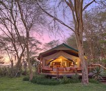Sirikoi is a luxury tented camp on the northern slopes of Mt Kenya. The camp, on private land surrounded by Lewa Wildlife Conservancy, looks out on a waterhole that attracts a variety of game.

There are 4 elegant en-suite tents and a private cottage with 2 en-suite