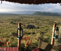Sleeping Warrior Lodge was established in 2011. The lodge is located on Soysambu Conservancy, and offers lovely views of Lake Elementaita and across the Rift Valley. Soysambu is home to 450 species of bird, including the great white pelican, flamingo, cormorants, waders and storks. There are 7 en-suite