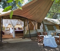 Speke’s Camp is a traditional safari camp on the eastern edge of the Maasai Mara National Reserve. The camp is surrounded by indigenous trees near the banks of the Olare Orok River.

The 10 en-suite tents are decorated in traditional safari style with wooden chests,