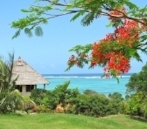 Overlooking its own private and secluded beach between Mombasa and Diani, Tijara Beach Boutique Hotel is a perfect location for a peaceful, romantic holiday. Situated approximately 9km south of Mombasa Island, the house is a luxurious retreat. There are 4 cottages in 5 acres of beachfront gardens,