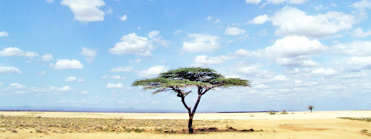The Chalbi Desert, by Andrew Nightingale