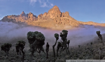 <p>Mt Kenya rises spectacularly in the centre of the highlands, its icy peaks glinting white. Mountain ranges, bustling towns, fertile farms and rushing waterfalls garnish its shoulders. Highlights include the Aberdare Range, Meru National Park, Ol Pejeta Conservancy, Thomson’s Falls, Mwea National Reserve and Ol Donyo Sabuk National Park.</p>